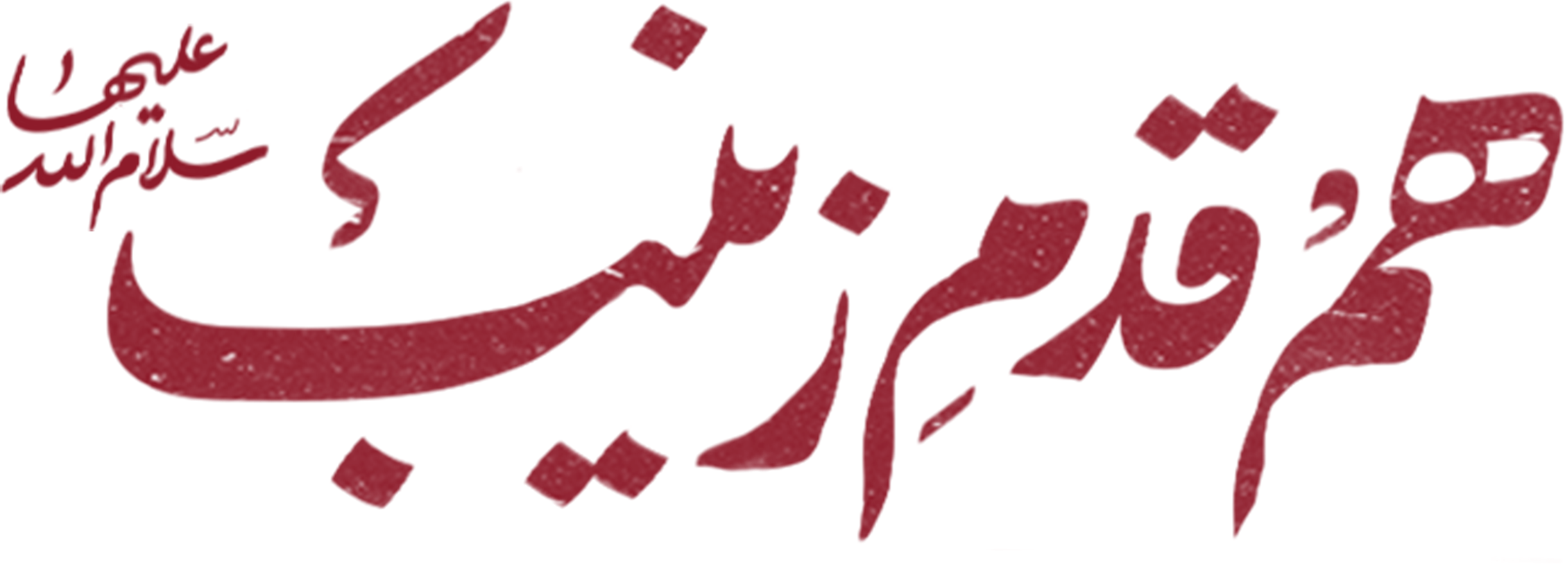 هم‌قدمِ زینب (سلام‌الله‌علیها)